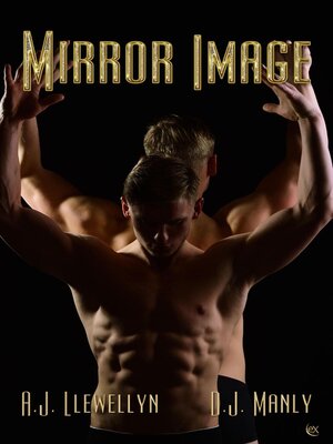 cover image of Mirror Image